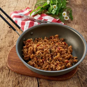 Katadyn Noodrantsoen Beef Stroganoff Rijst 2 katadyn noodrantsoen beef stroganoff rijst 2